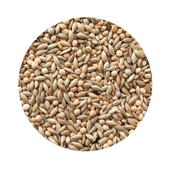 Exótico Breeding Premium