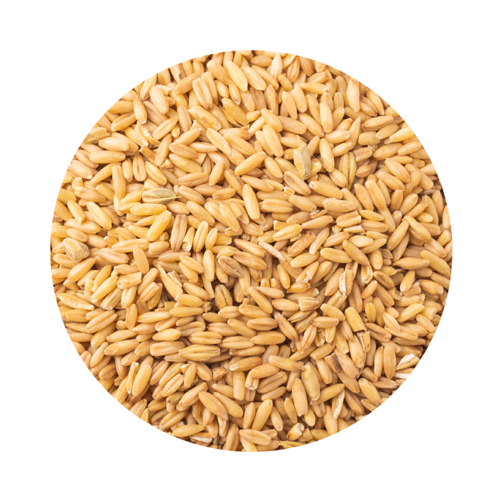 Aveia Descascada Aveia Descascada