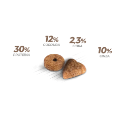 Gatos Alimento Premium