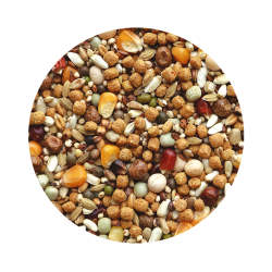 Mix Complete Reprodução