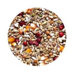 Mix Complete Média Distância