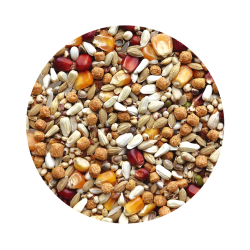 Mix Complete Longa Distância