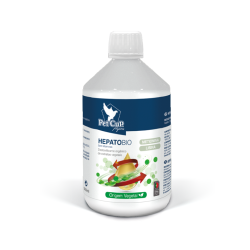 HepatoBio