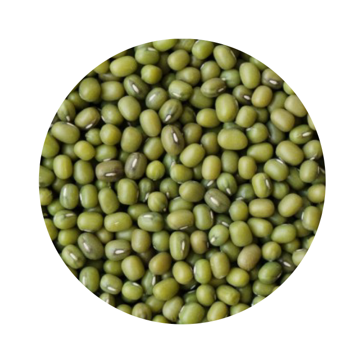 Feijão Mung Feijão Mung