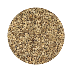 Exótico Gould Premium