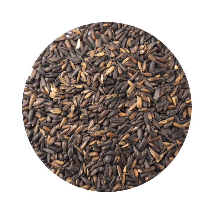 Girassol micro Preto Girassol micro Preto