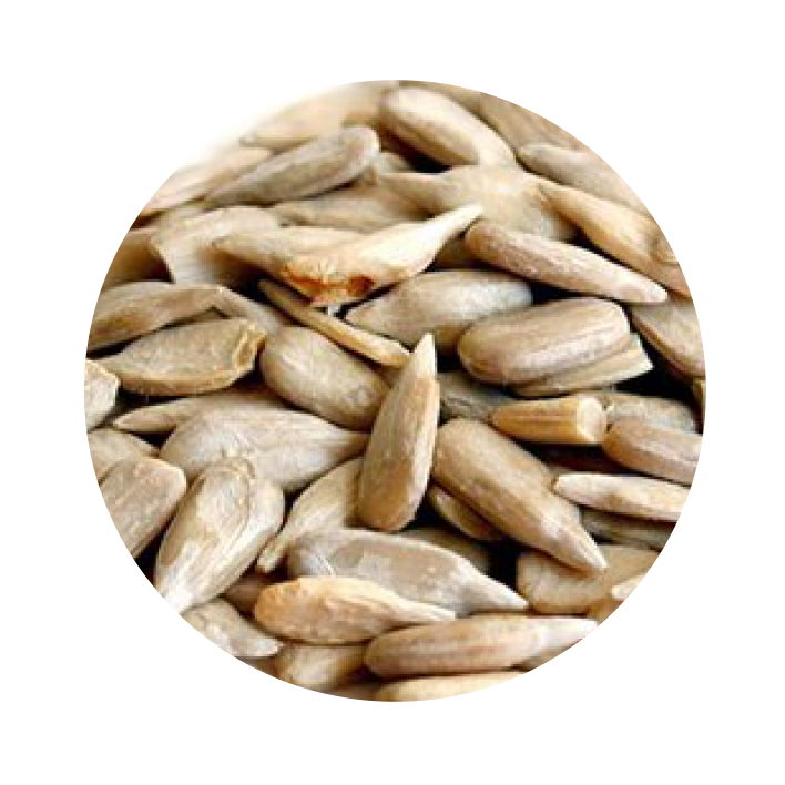 Miolo de Girassol Miolo de Girassol