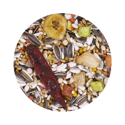 Papagaio com Frutos