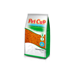 copy of