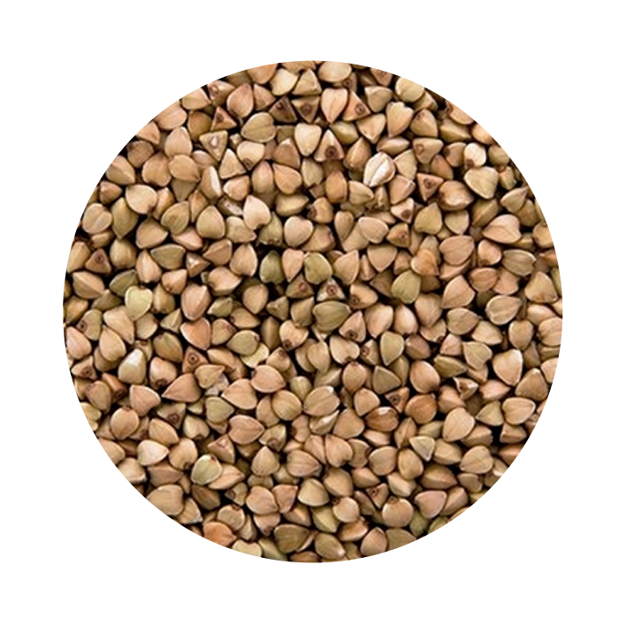 Trigo Serraceno Trigo Serraceno