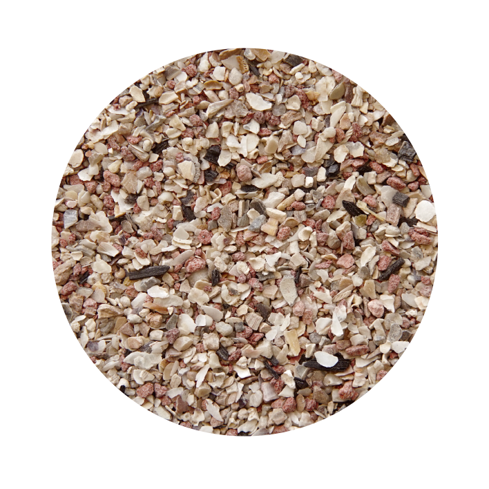 Grite para Pássaros