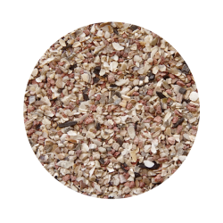 Grite para Pássaros