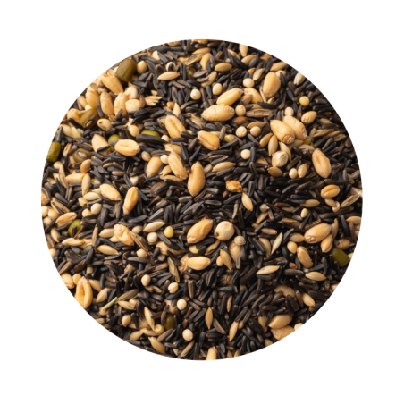 Germinado Branco para Canário