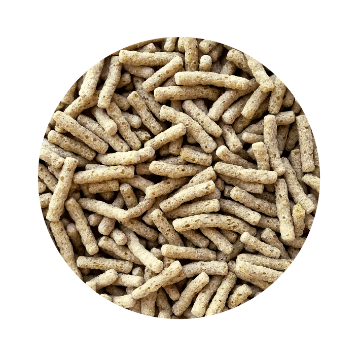 Sticks para Peixes de Lago