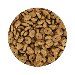 Gatos Alimento Premium