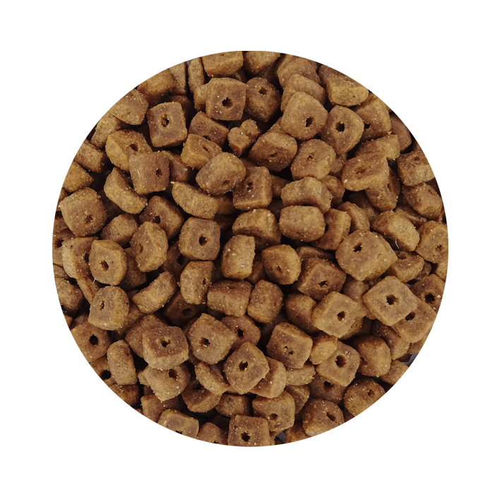 Gatos Esterilizados Premium