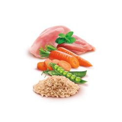 Adult Menu / Natural