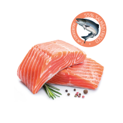 Salmão Premium