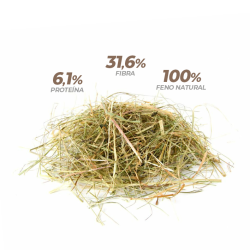 Feno Natural para Roedores