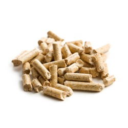 Absorvente Multiusos