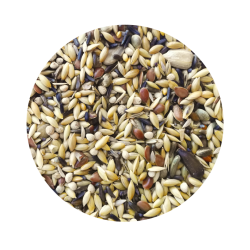 Pintassilgos Premium