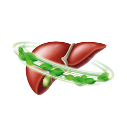 copy of ELIXIR EXTRACT