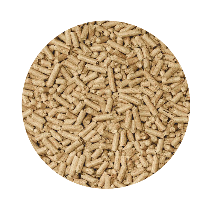 Absorvente Multiusos