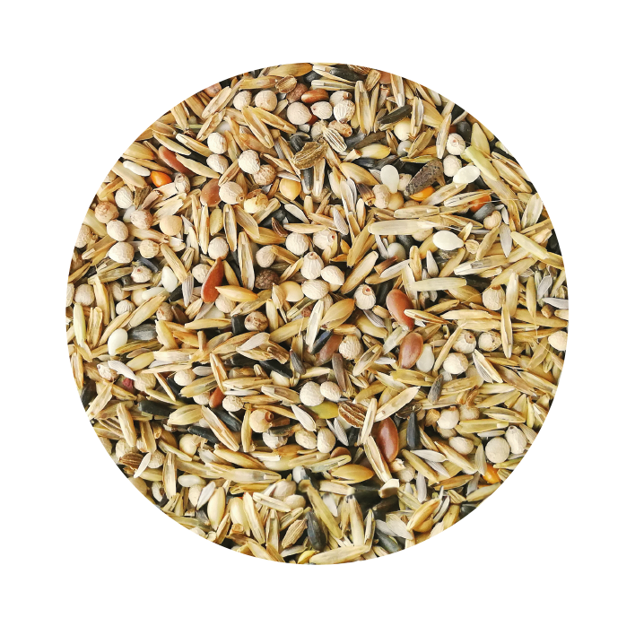 Cardinalitos Premium